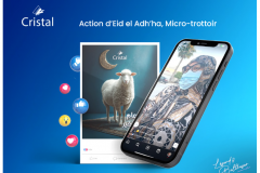 Social Media for Impact – Cristal Case Study